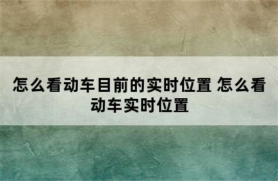 怎么看动车目前的实时位置 怎么看动车实时位置